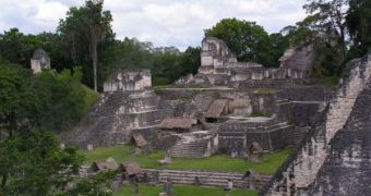 The Maya 'Did It to Themselves'
