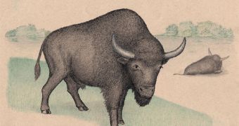 An artist's sketch of an Ancient Bison