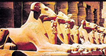 The soul of Amon-Ra: ram-headed sphinxes