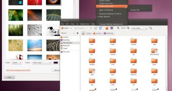 Ubuntu 10.10 Alpha with the new Ambiance theme and wallpaper