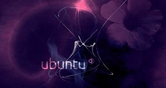 Ubuntu 12.04 LTS wallpaper