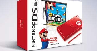 The Nintendo DS Gets Special Holiday Versions