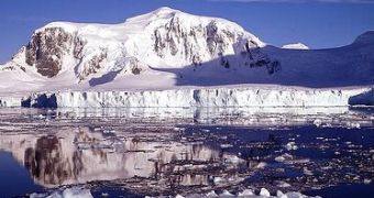 The Paradox of Sea Ice in Antarctica
