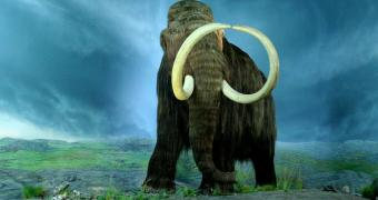 The Woolly Mammoth at the Royal BC Museum, Victoria, British Columbia.