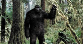 Researchers claim they have proof of Bigfoot's existence