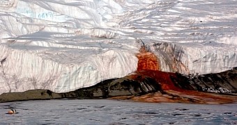 Photo shows Antarctica's Blood Falls