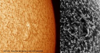 Two new sunspots have been observed on the surface of the Sun