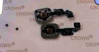 The Touch ID for Upcoming iPhone 6 Photographed – Leak