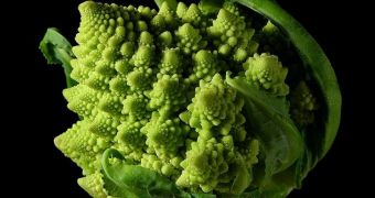 This type of broccoli displays a fractal pattern
