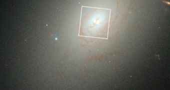 Fully-grown galaxies found around compact ellipticals in the early Universe