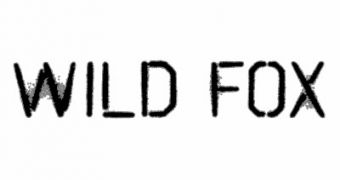 Wild Fox is a Firefox fork that aims to bring H.264 support