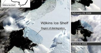 Despite the early warnings, those in charge of ellaborating climate policies have been unable to prevent the Wilkins Ice Shelf from separating from the Antarctic