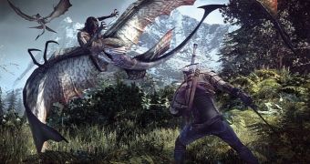 The Witcher 3 isn't all about combat