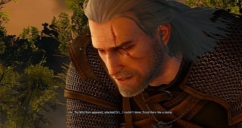 The Witcher 3 has a serious bug