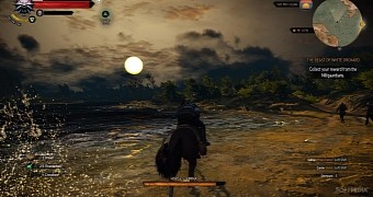 Witcher 3 performance