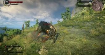 The Witcher 3: Wild Hunt has a new gameplay demo video