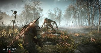 The Witcher 3: Wild Hunt Runs and Looks Great on PS4 - Video