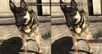 Call of Duty: Ghosts' Riley, a modern-day virtual Lassie