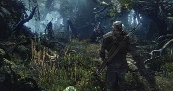 The Witcher 3 screenshot