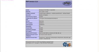 PHP Information Output by phpinfo Function