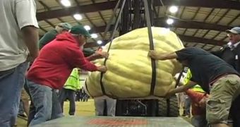 The World's Largest Pumpkin Weighs 2,009 Pounds (911.26 Kilograms)