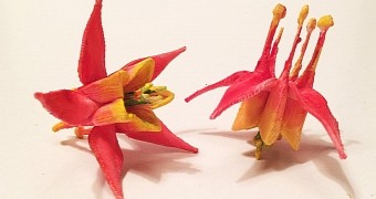 3D printed flowers
