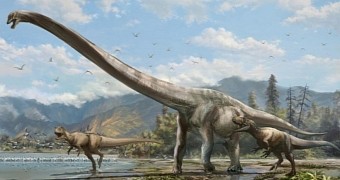 Illustration shows what the newly discovered long-necked dinosaurs probably looked like