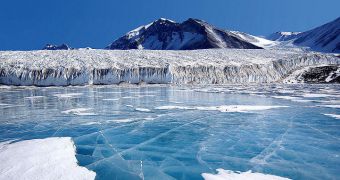 Antarctica is contributing to 10 percent of global sea level rise