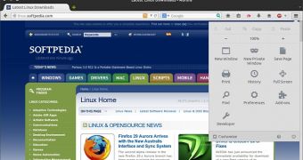 Firefox 29 with Australis