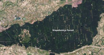 Poland's Niepołomice Forest, as seen from Earth's orbit
