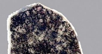 A section of a 1.8 billion-year-old fossil-bearing rock