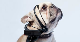 Dog telepathic headset