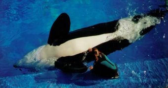 San Diego Mayor makes this year's March official "SeaWorld Month"