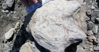 Researchers find thousands of dinosaur footprints along Alaska's Yukon River