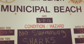 Palm Beach officials put up shark alert