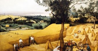 The Harvesters by Pieter Bruegel, 1565