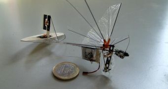 Three-Gram Robotic 'Dragonfly' Takes to the Sky
