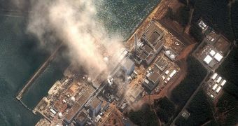 Image showing the Fukushima I Nuclear Power Plant in Japan