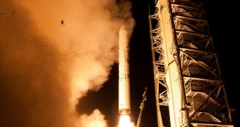 A frog with space flight aspirations