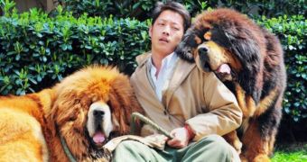 The tibetan mastiff puppy on the left fetched a whopping £1.2million ($1.9/€1.4 million) at auction