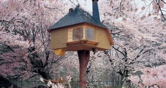 This tiny treehouse is located in Hokuto, Japan