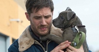 Tom Hardy and one of the dogs that appear in “The Drop,” photographed on set in New York