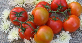 Study finds compound in tomatoes can lower heart and stroke risk in cardiovascular disease patients