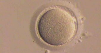 IVF calculator shows women's chances of experiencing a successful procedure