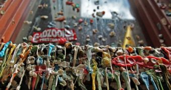The Seattle Gum Wall is voted second germiest tourist attraction in the world