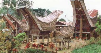 Toraja houses and barns