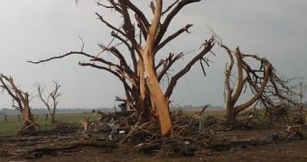 Tornadoes caused no casualties in the US in May 2012, the first time this happens since 2005