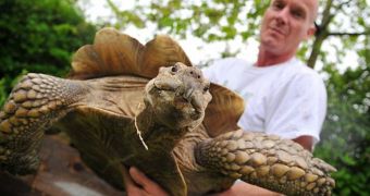 Giant tortoise has found a new home after growing too big for its initial owners' garden