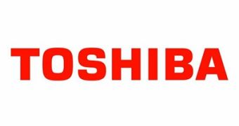 Toshiba confirms US website hack