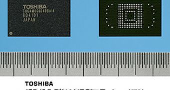 Toshiba flash memory chips